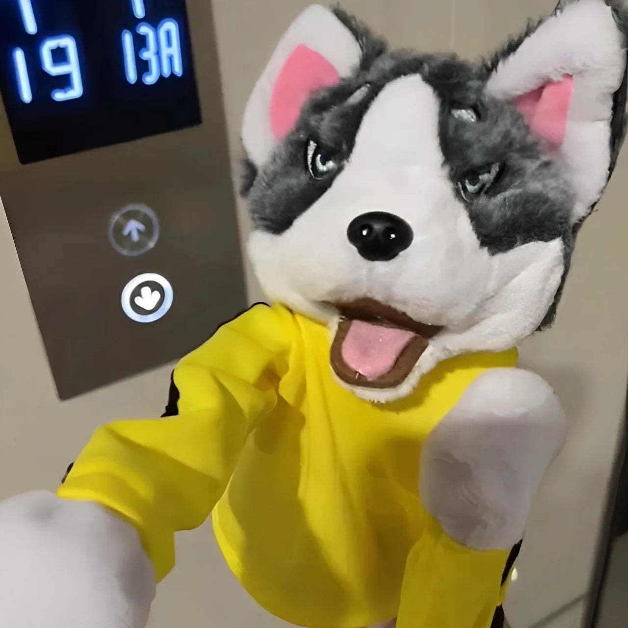 Interactive Plush Animal Boxing Dog Toy – Automated Pet Play & Teaser System