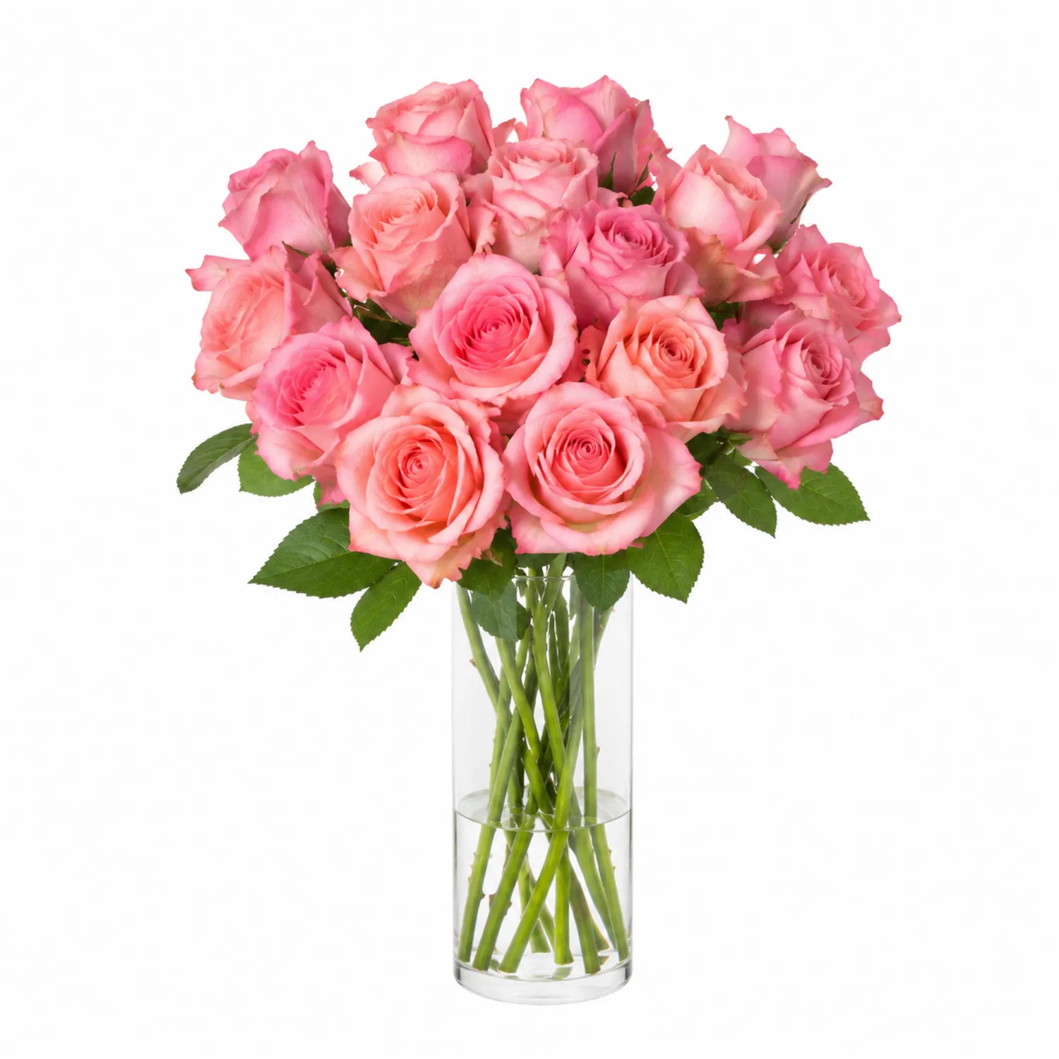 Rosenstrauß Rosa 15 Stück mit Vase