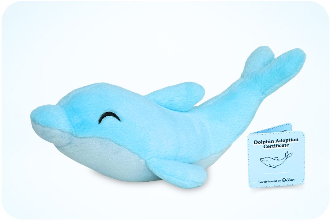 Coral Adoption Plushie