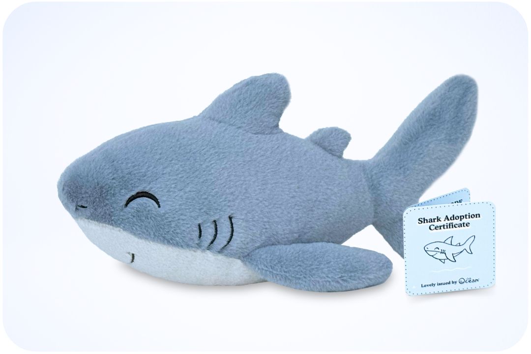 Coral Adoption Plushie