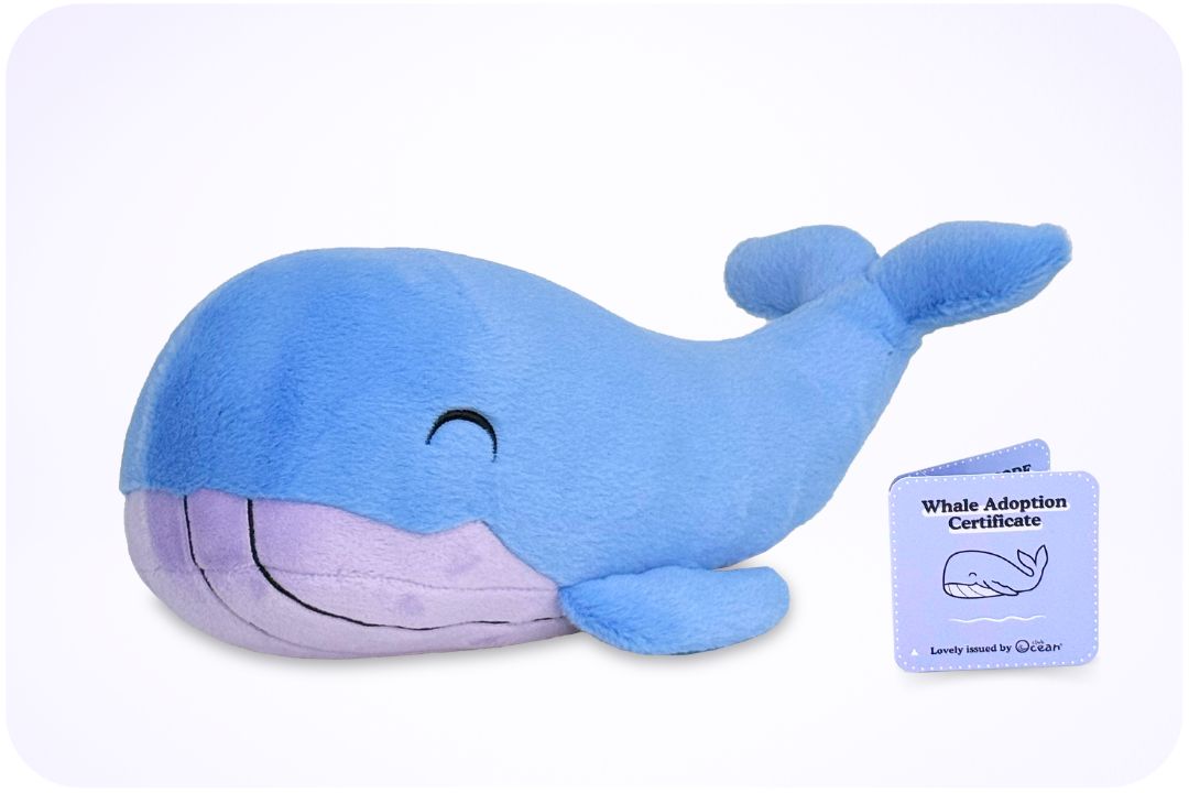 Coral Adoption Plushie