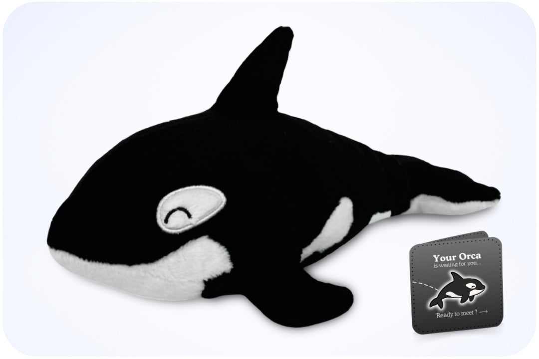 Coral Adoption Plushie