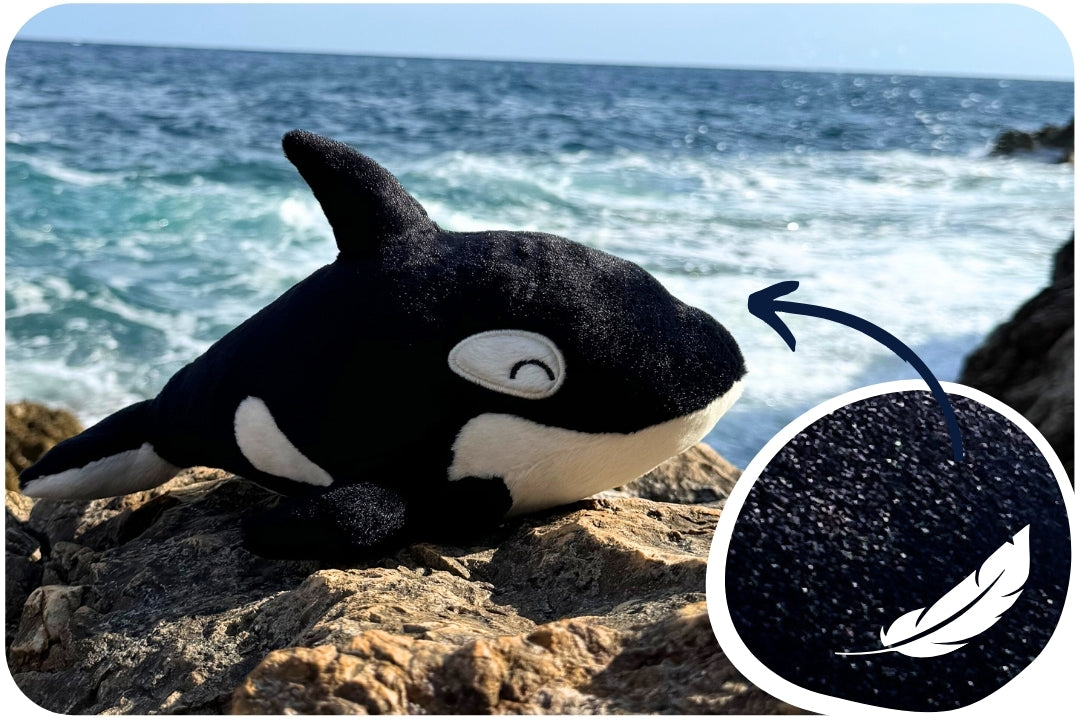 Coral Adoption Plushie