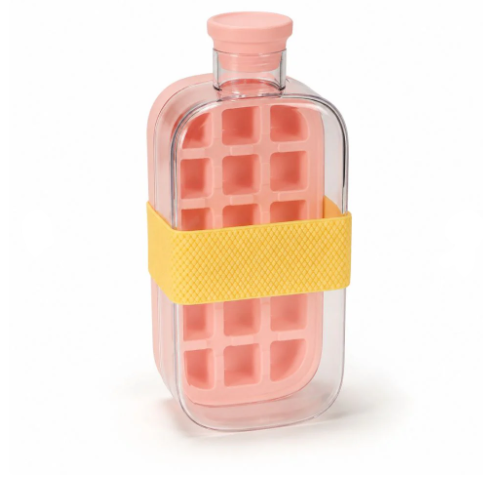 Ice-cube water bottle
