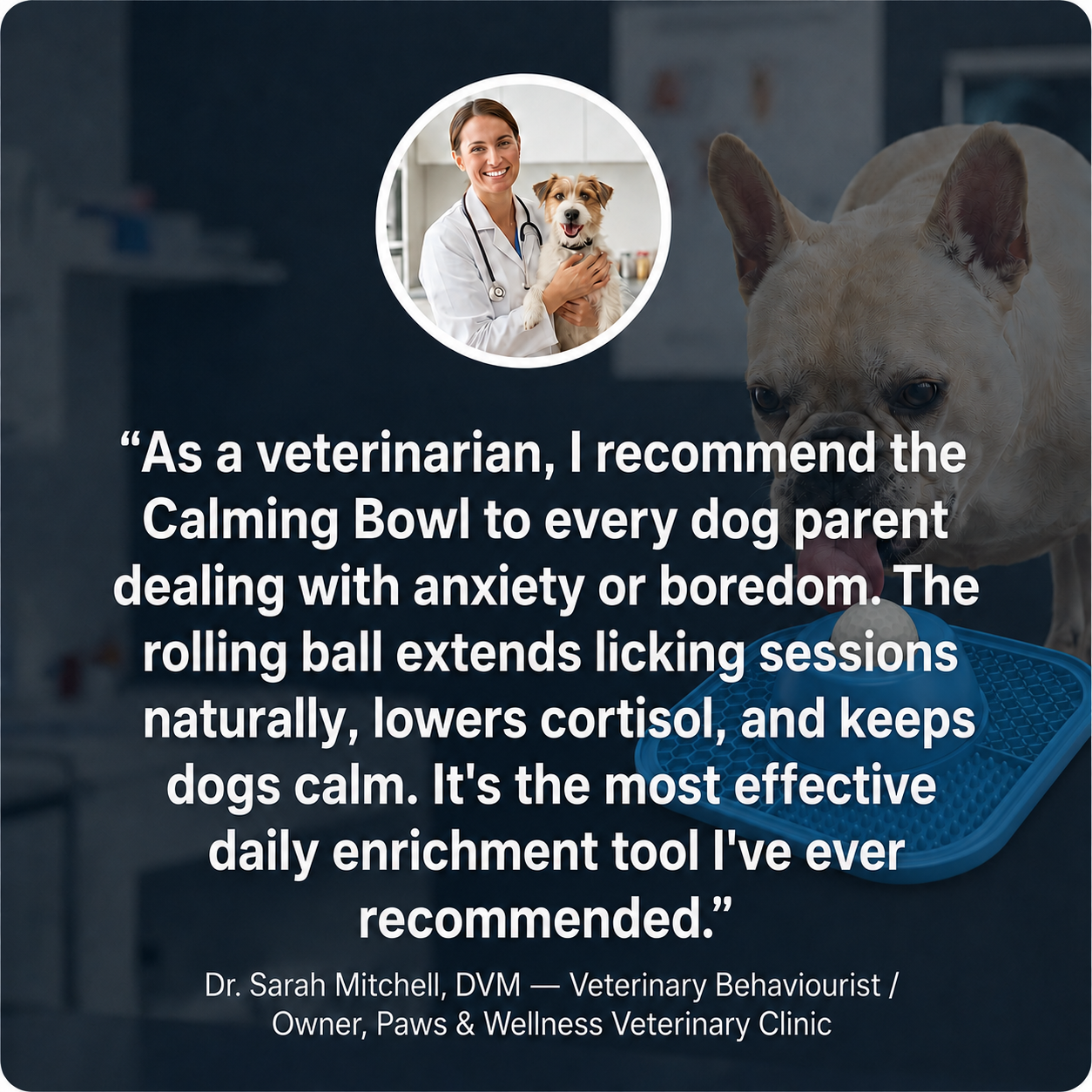 Calming Bowl-Finally Settle  Your Anxious, Hyper Dog