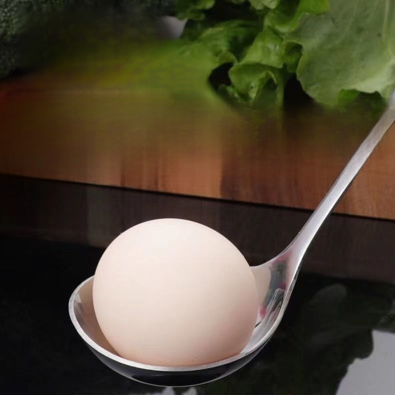 Stainless Steel Soup Spoon