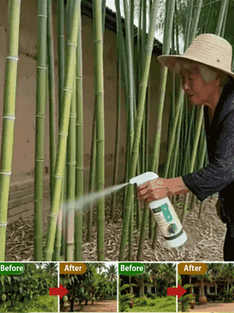 Dissolve Weeds From The Roots Up — Stop Weeds From Growing Back Permanently