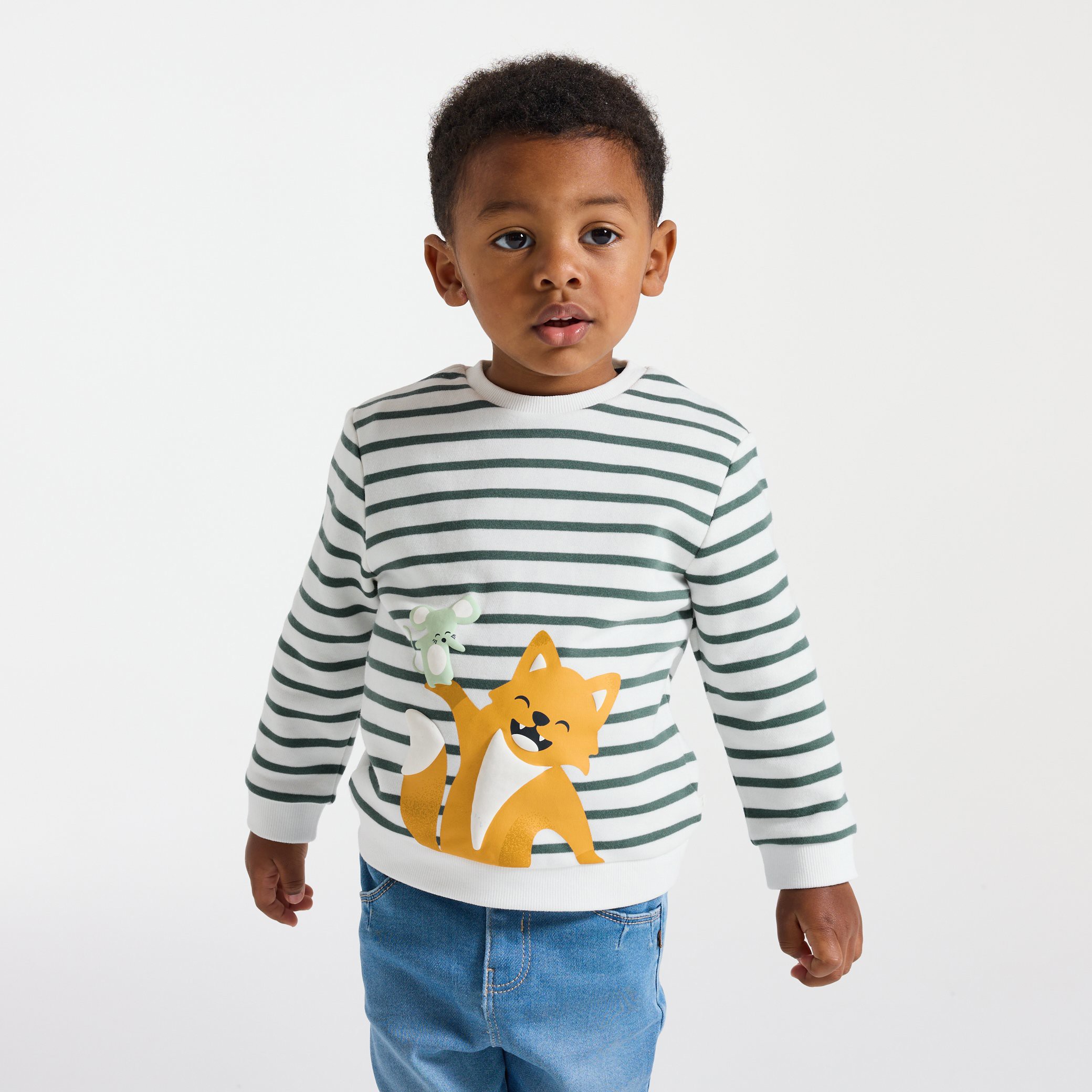 Sweat rayé vert motif animalier bébé garçon - Tilleul Clair