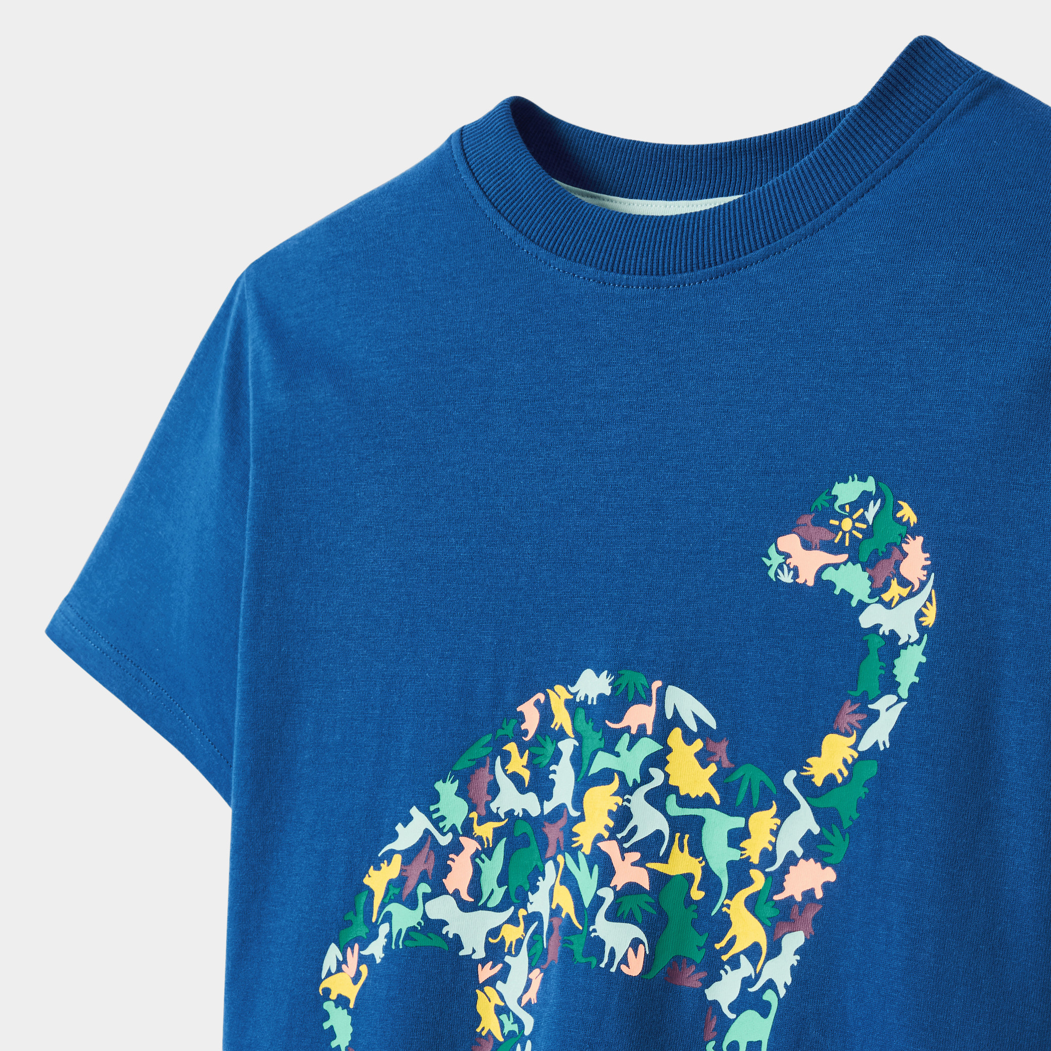 Tshirt vert motif dinosaure garçon - Bleuet