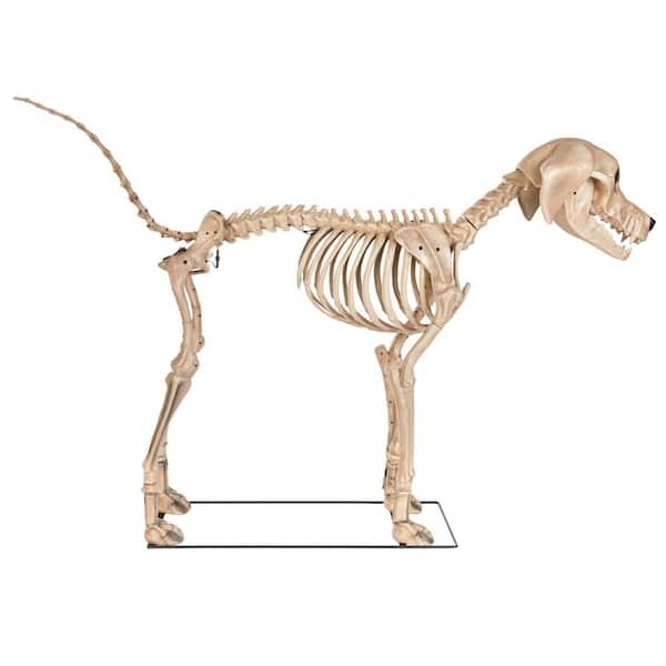 Long Grave & Bones Skelly's Dog with LifeEyes LCD Eyes