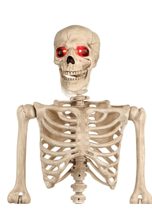 Animated  Mr. Crazy Bonez Poseable Human Skeleton Halloween Prop