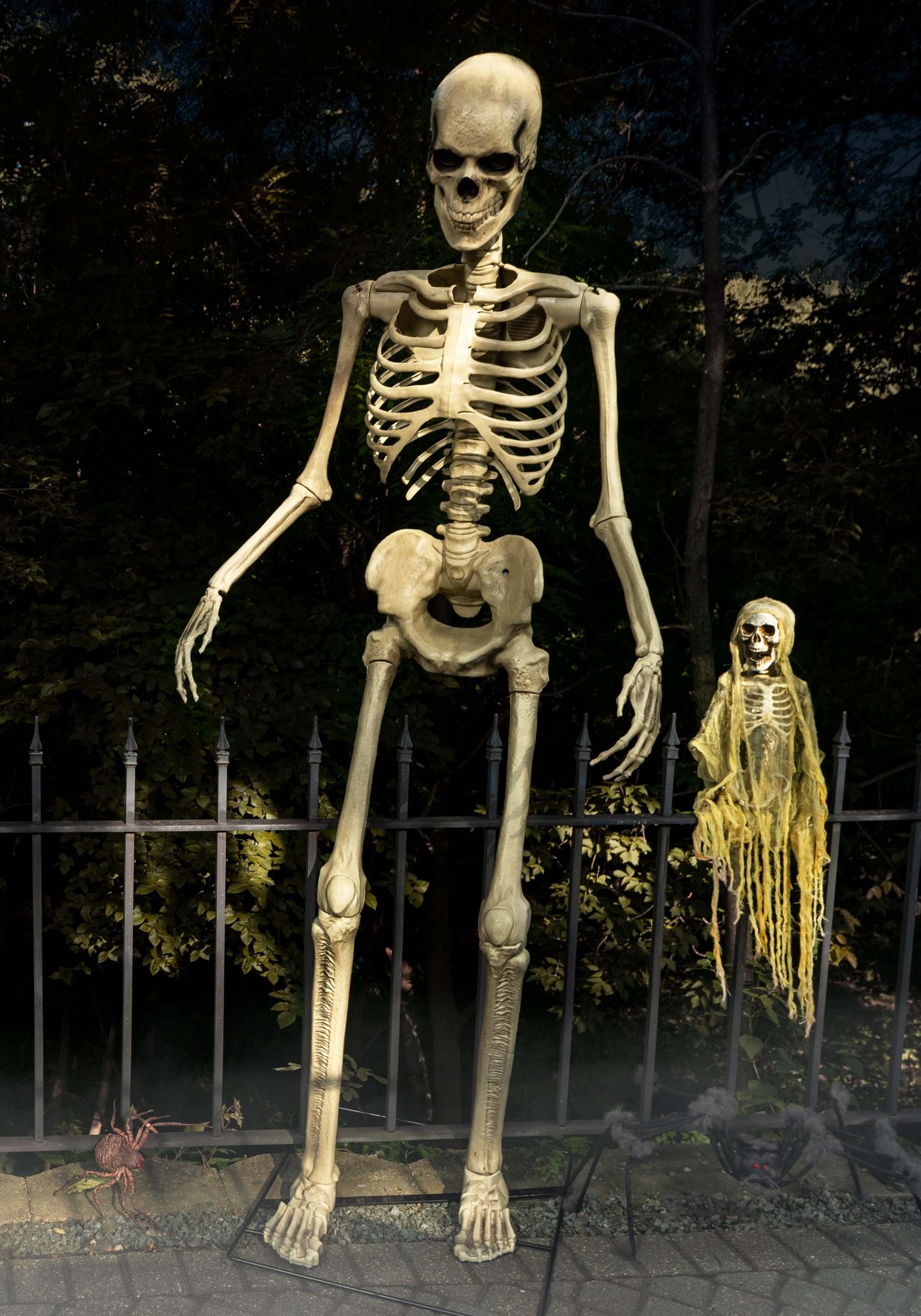 Skeleton Decoration