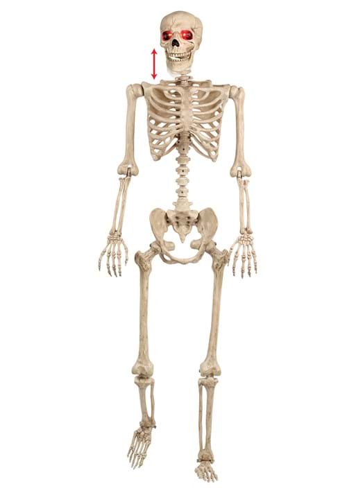 Animated  Mr. Crazy Bonez Poseable Human Skeleton Halloween Prop