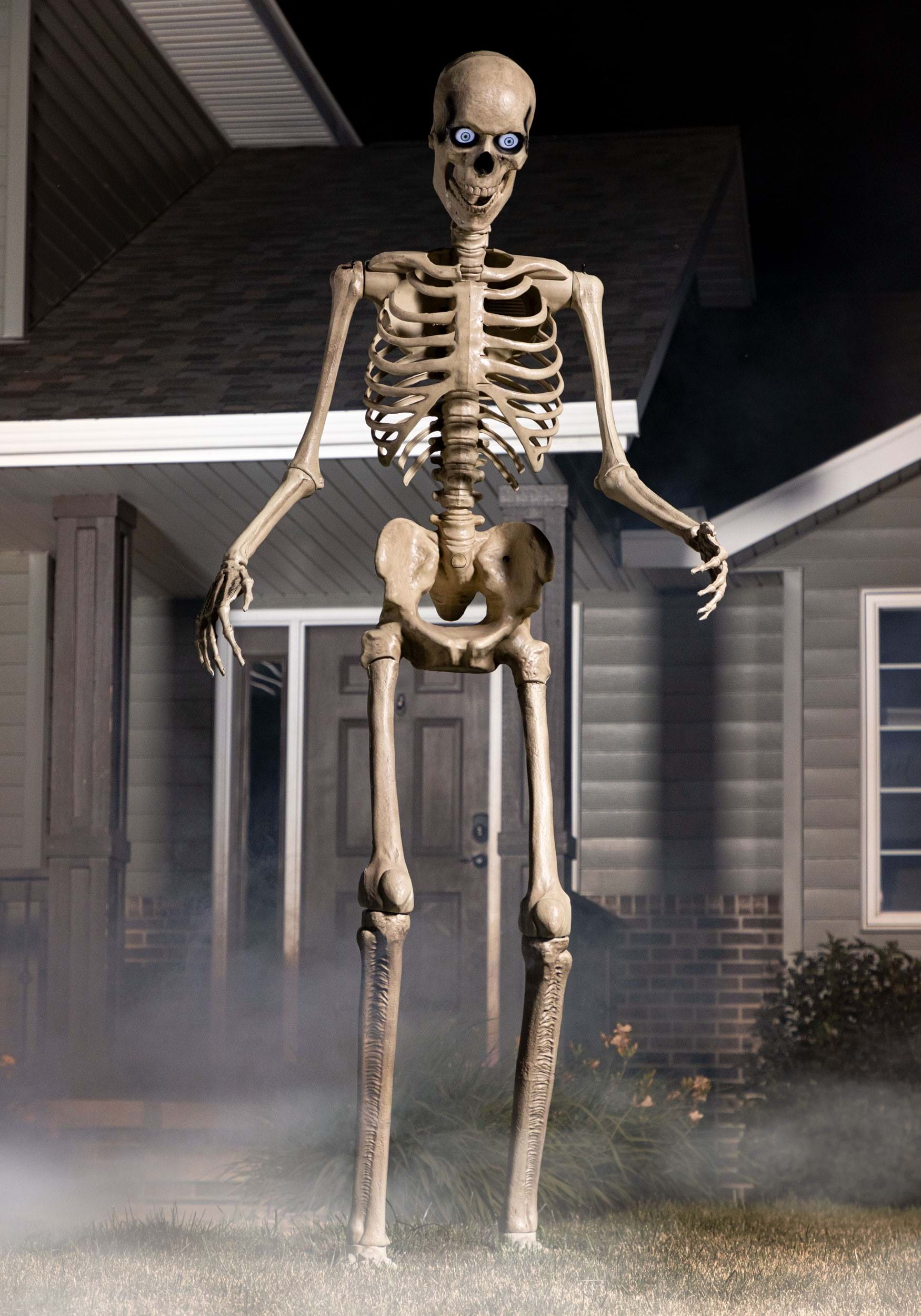 Skeleton Decoration