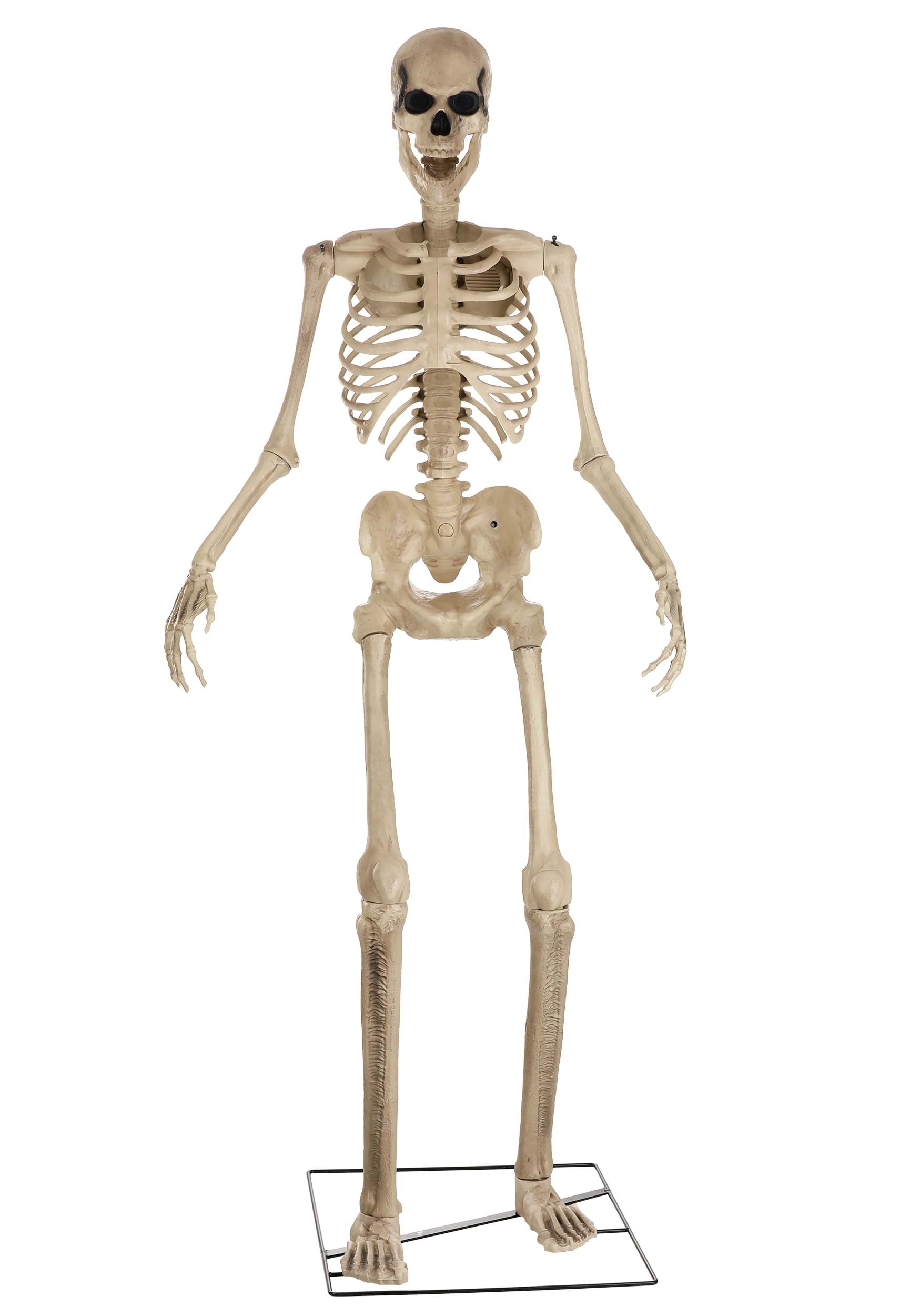 Skeleton Decoration