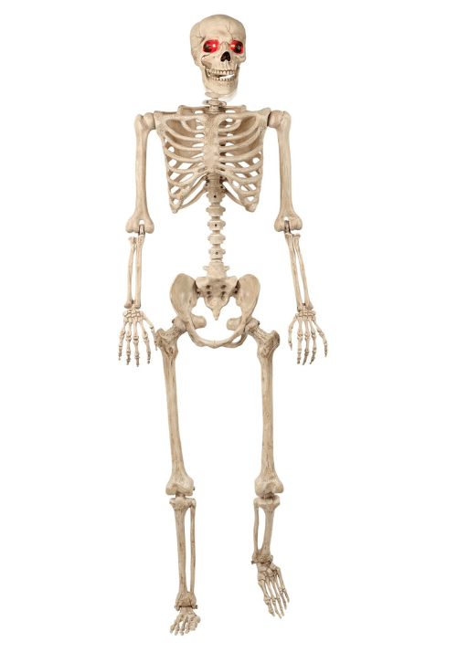 Animated  Mr. Crazy Bonez Poseable Human Skeleton Halloween Prop