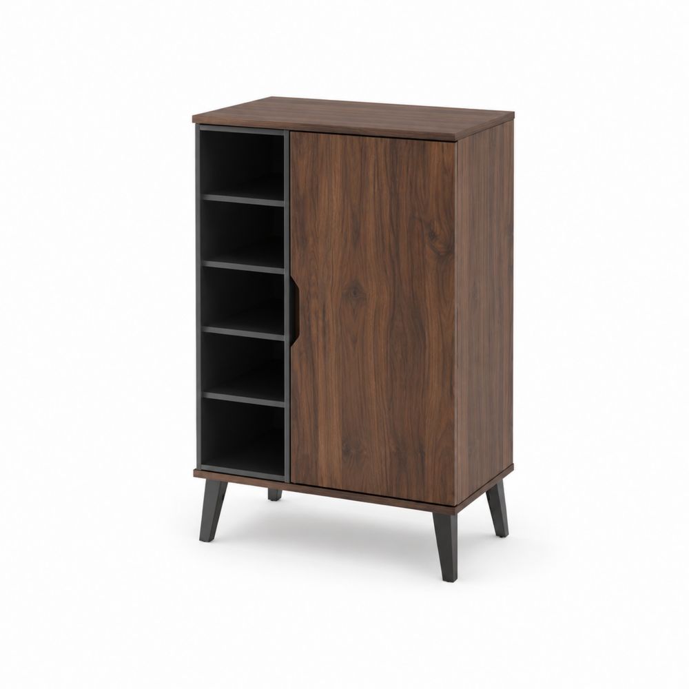 Zapatero de Madera con Puerta y Estantes 80x60x30 cm Marrón y Negro