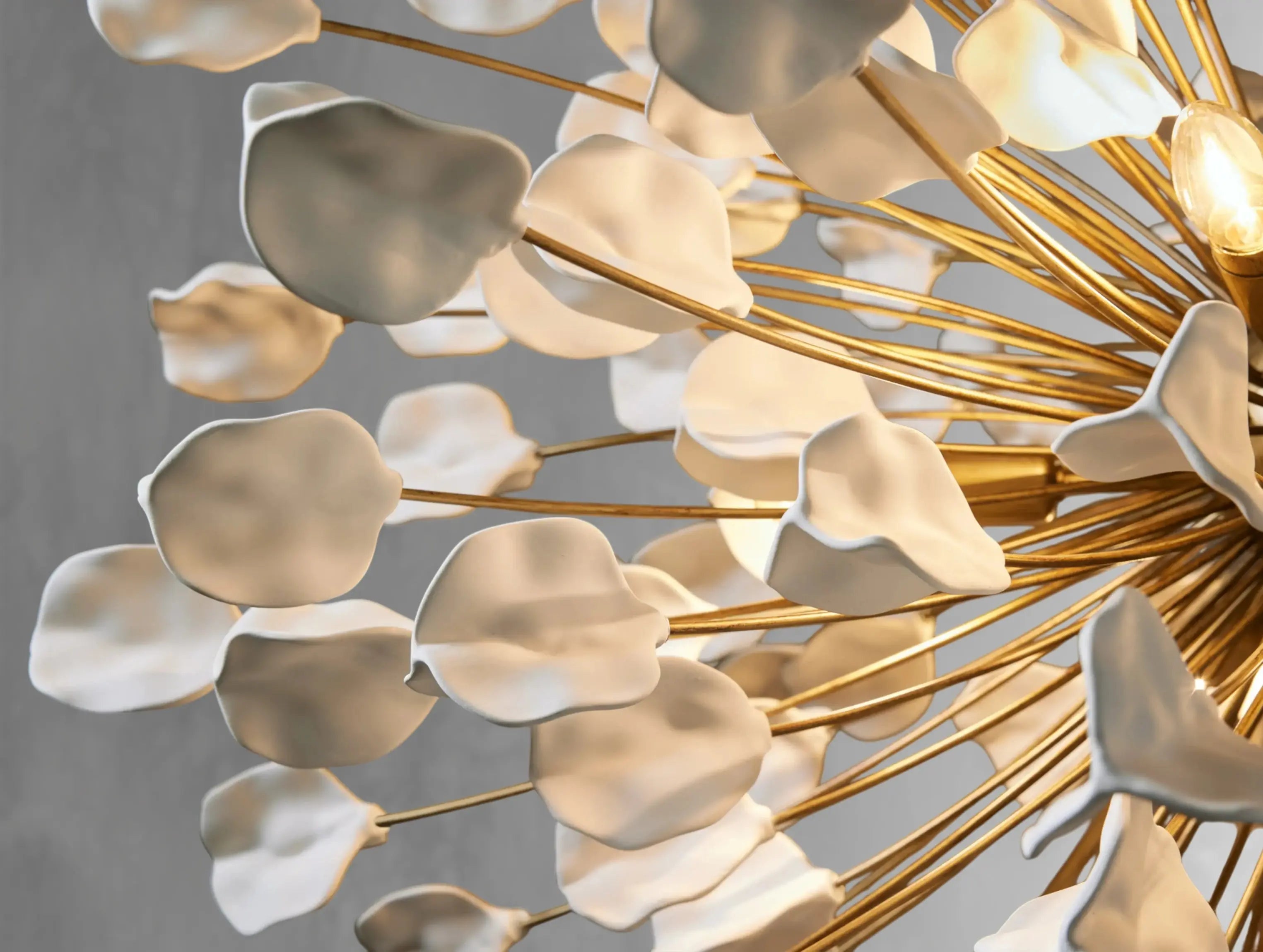 Floralis Chandelier ZELNO LIGHTING