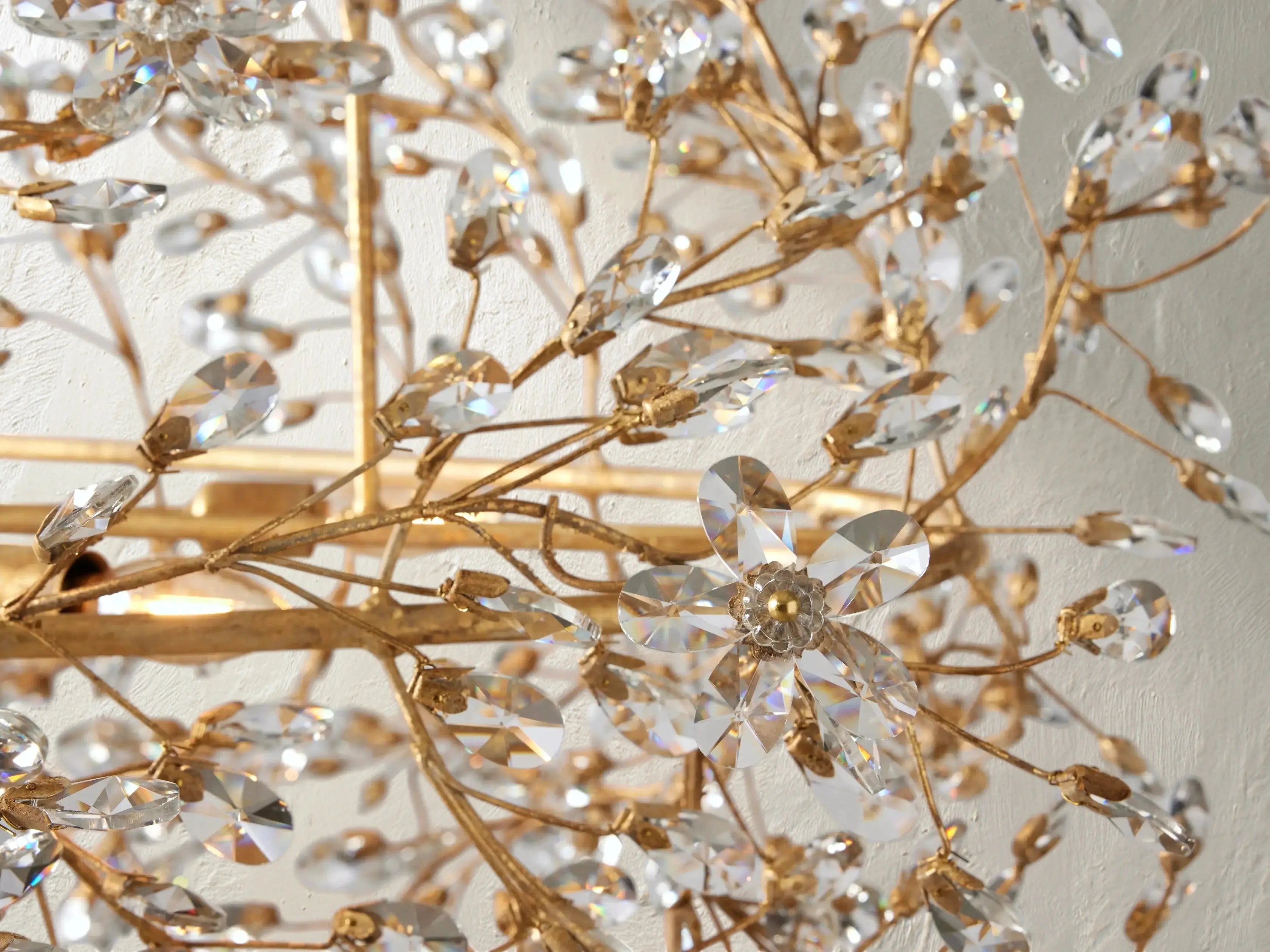 Fiona Oval Chandelier ZELNO LIGHTING