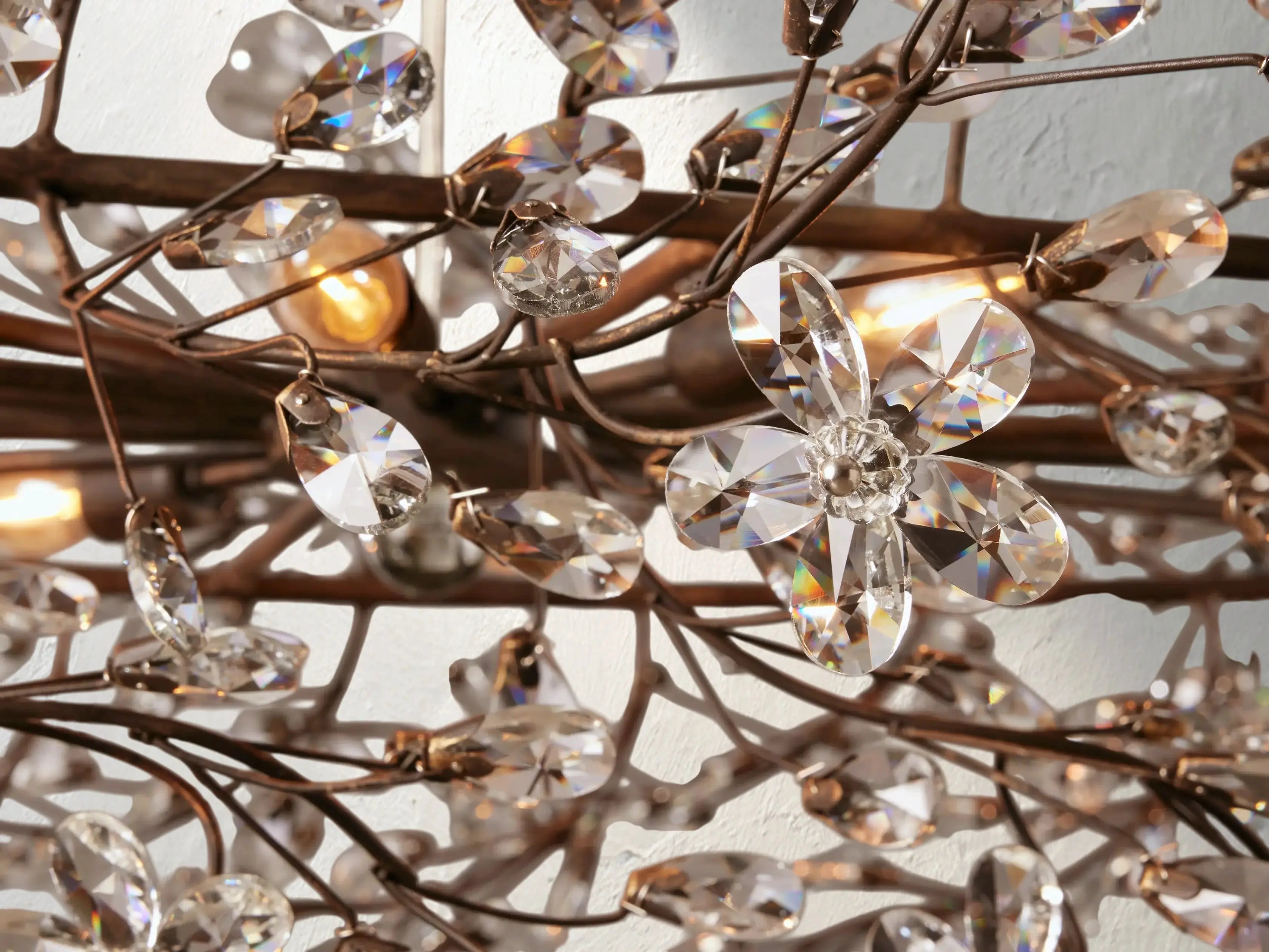 Fiona Oval Chandelier ZELNO LIGHTING