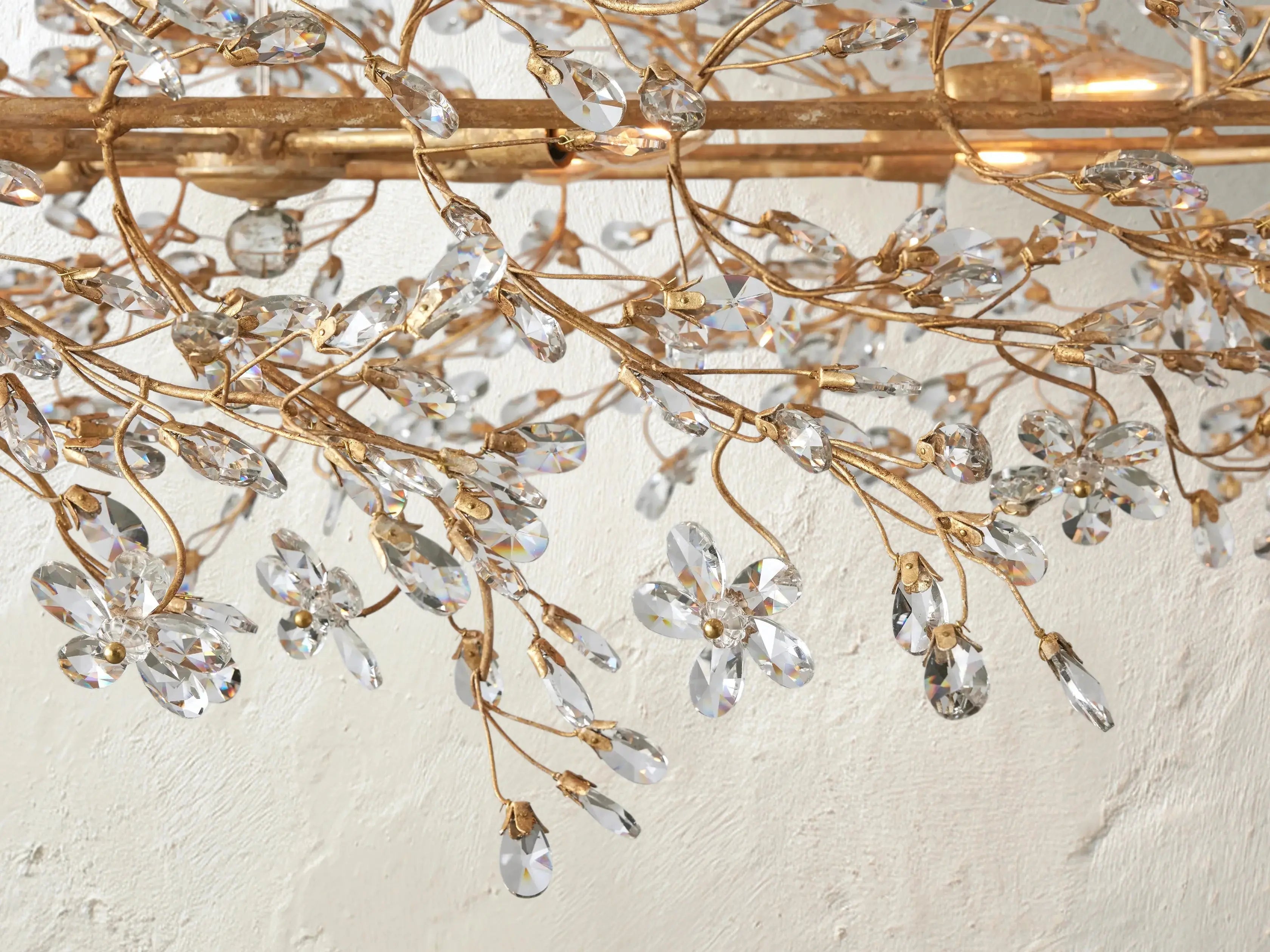 Fiona Oval Chandelier ZELNO LIGHTING