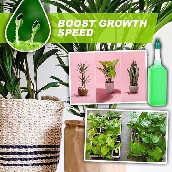 🍀Magic Hydroponic liquid fertilizer🌱