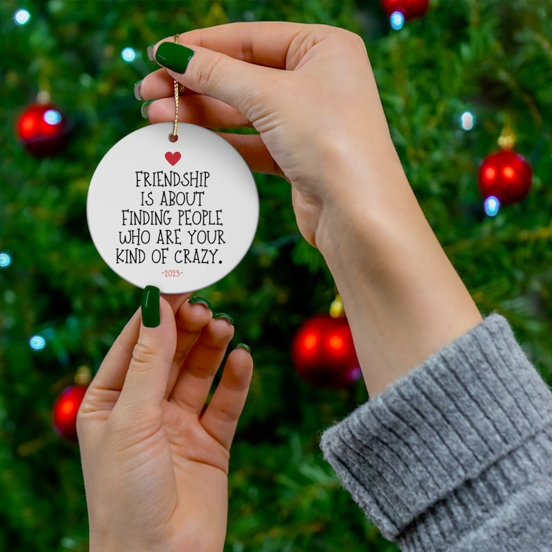 🎁💝2023 CHRISTMAS GIFT - Funny Friendship Ornament😂