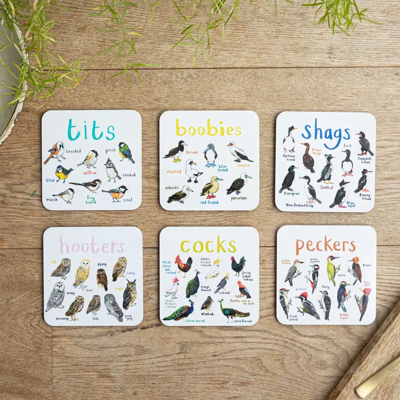 🐦Set Of 6 Bird Pun Coasters