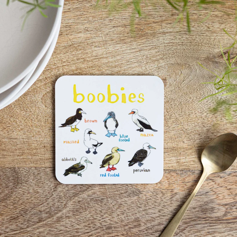 🐦Set Of 6 Bird Pun Coasters