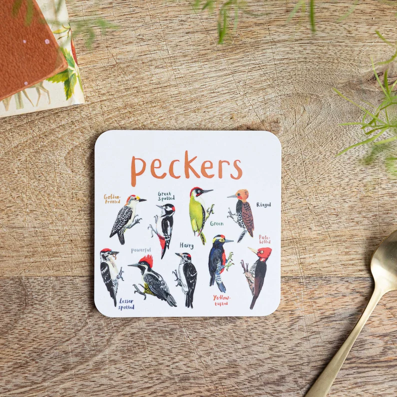 🐦Set Of 6 Bird Pun Coasters