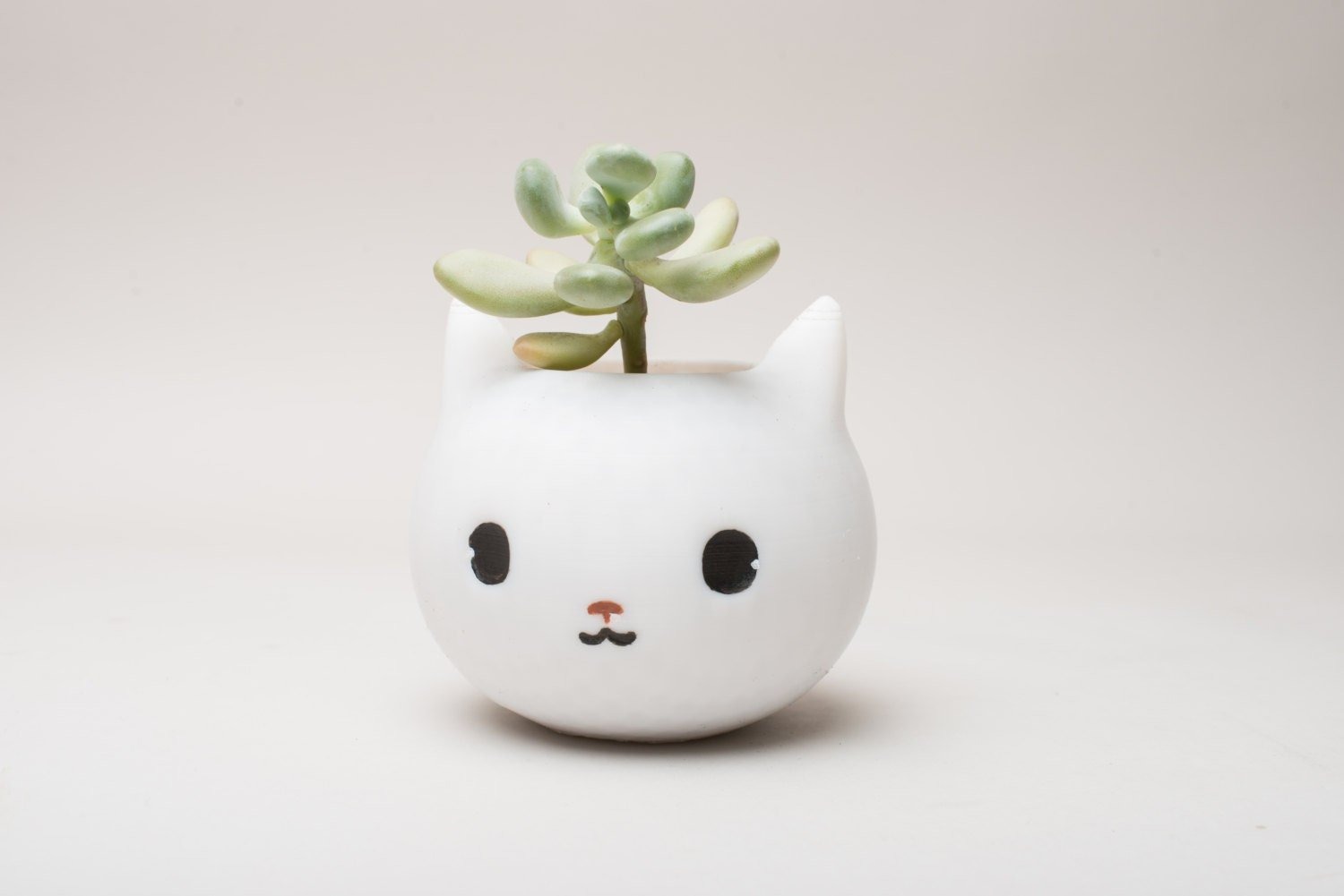 🐱Cat Planter Cat Lover Gift🎁