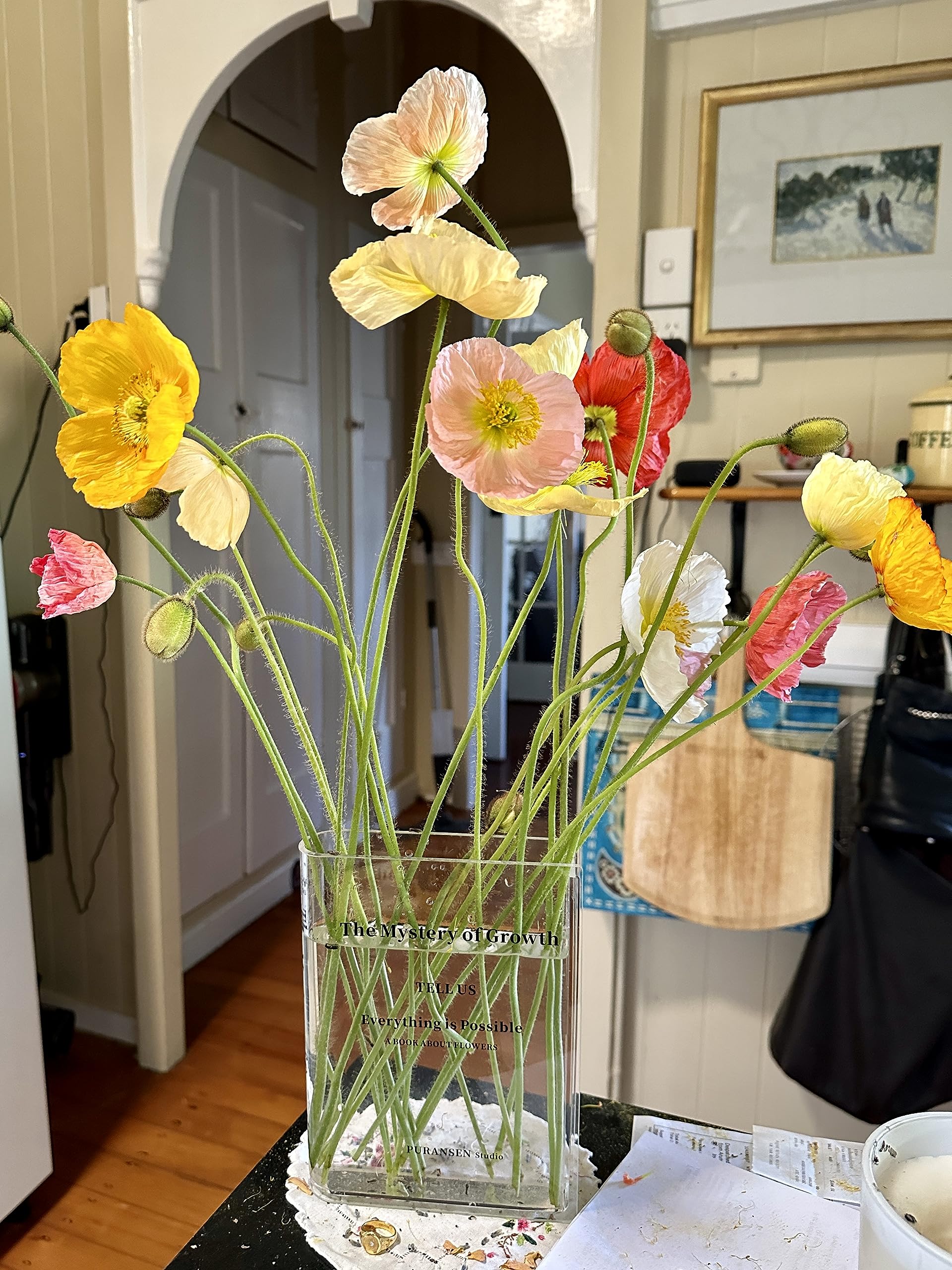Modern Aesthetic Vase for Bookshelf&Home Decor (Clear)