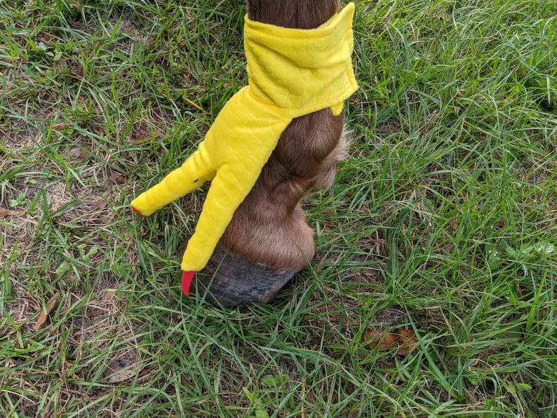 🎅 Early Christmas 49% OFF-Chicken Feet For Horse