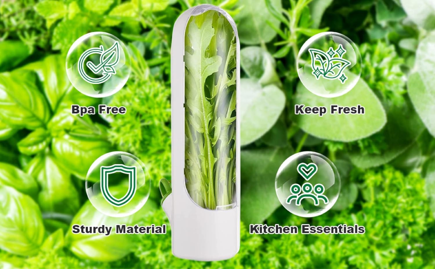🔥Last Day Promotion 50% OFF🔥 - Fresh vegetable storage box