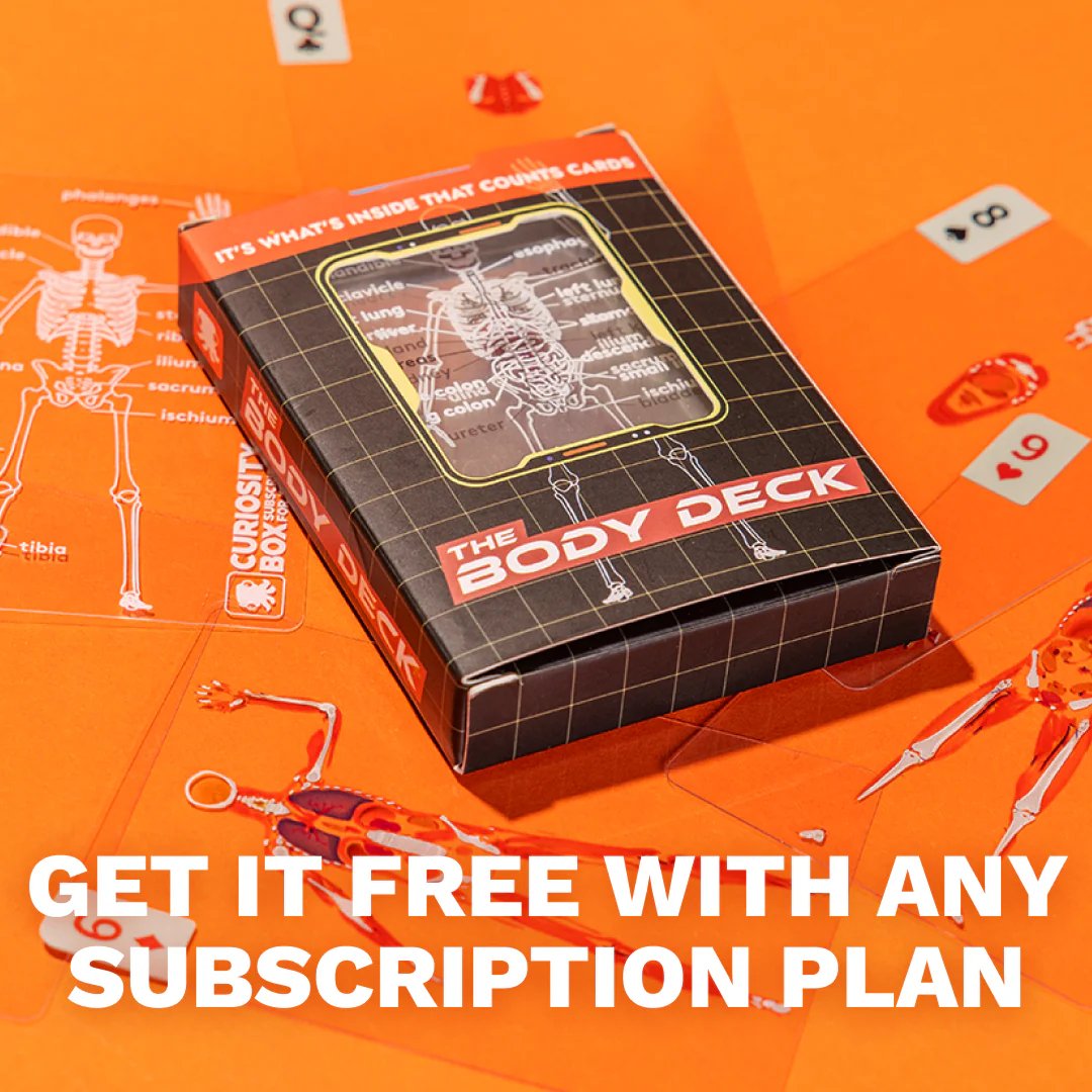 Last Day 49% OFF🎁The Body Deck