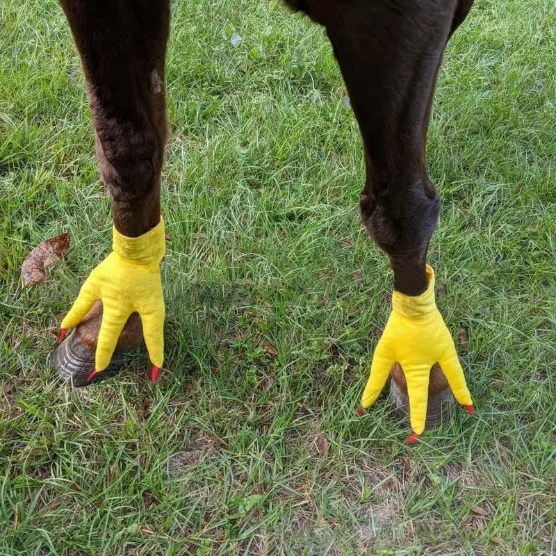 🎅 Early Christmas 49% OFF-Chicken Feet For Horse