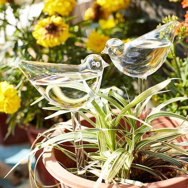 (Last Day Flash Sale-50% OFF)Self-Watering Plant Glass Bulbs