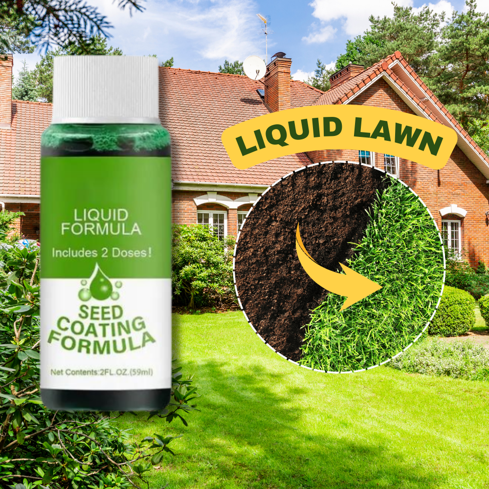 🔥Last Day Promotion 70% OFF🔥 -  GREENGROWN GRASS RENEWAL SYSTEM🌱LIMITED TIME OFFER