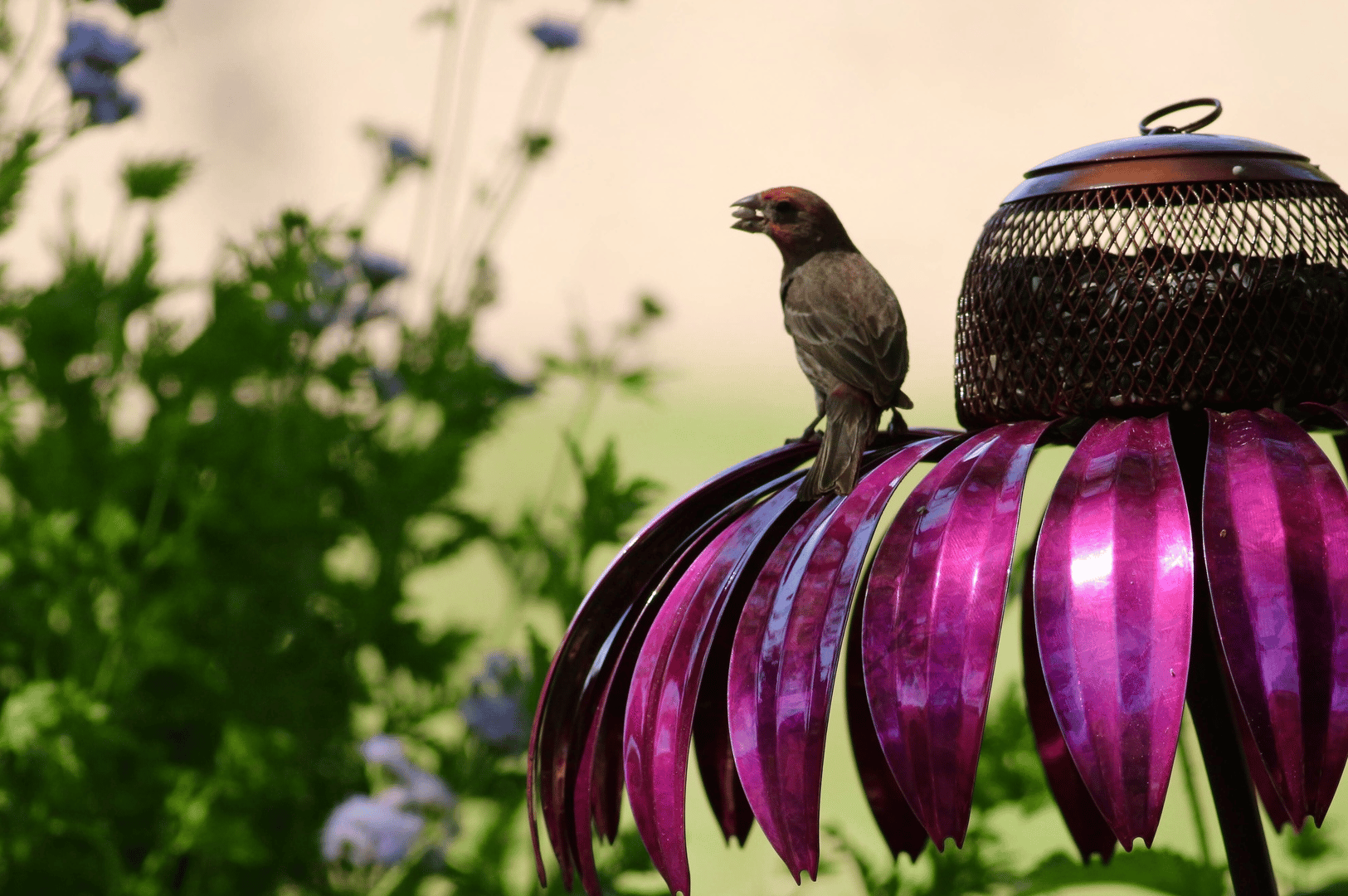🔥 Hot Sale🔥 Outdoor Flower Bird Feeder 🌹
