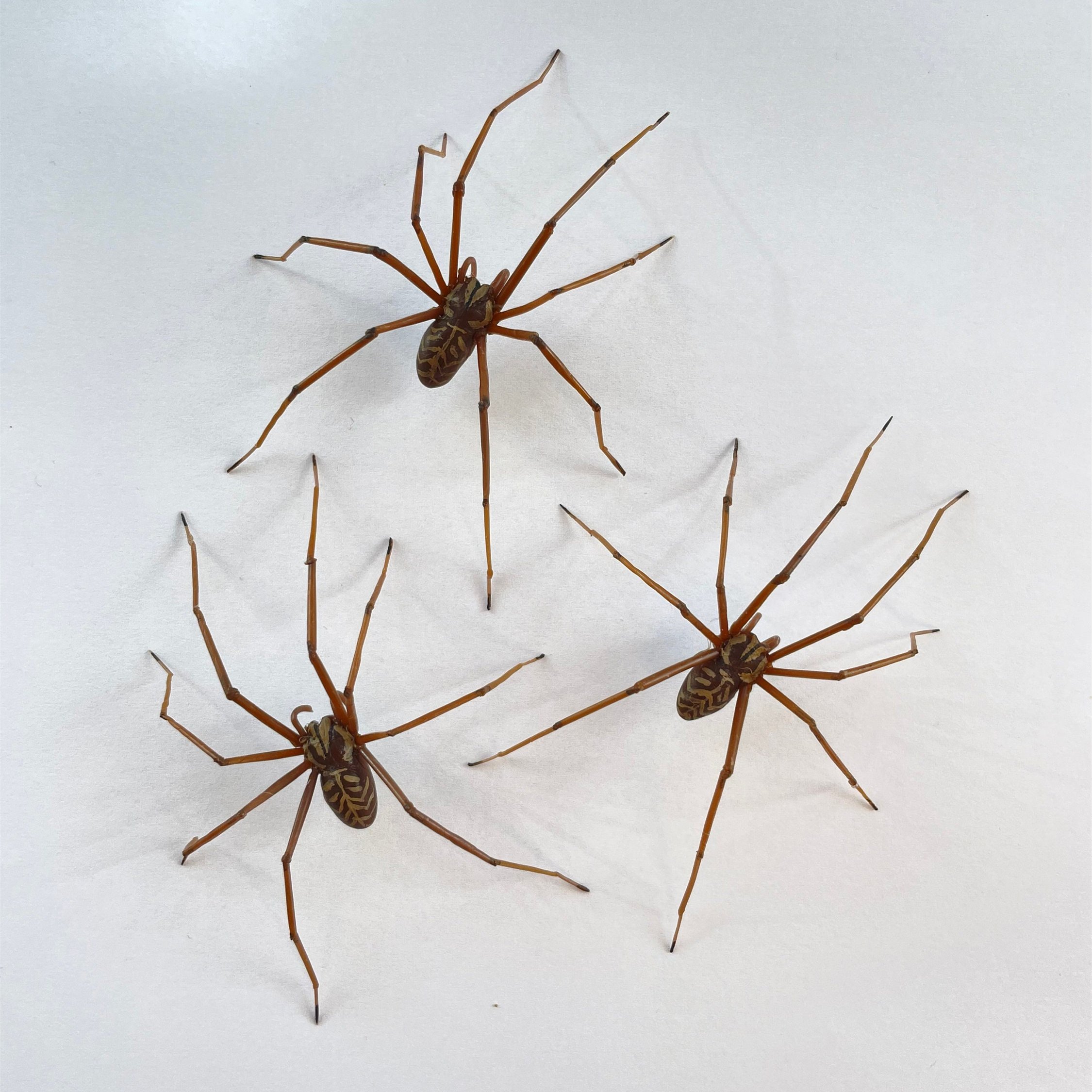 💝2023 CHRISTMAS GIFT🎅 - The Giant Spider Earring