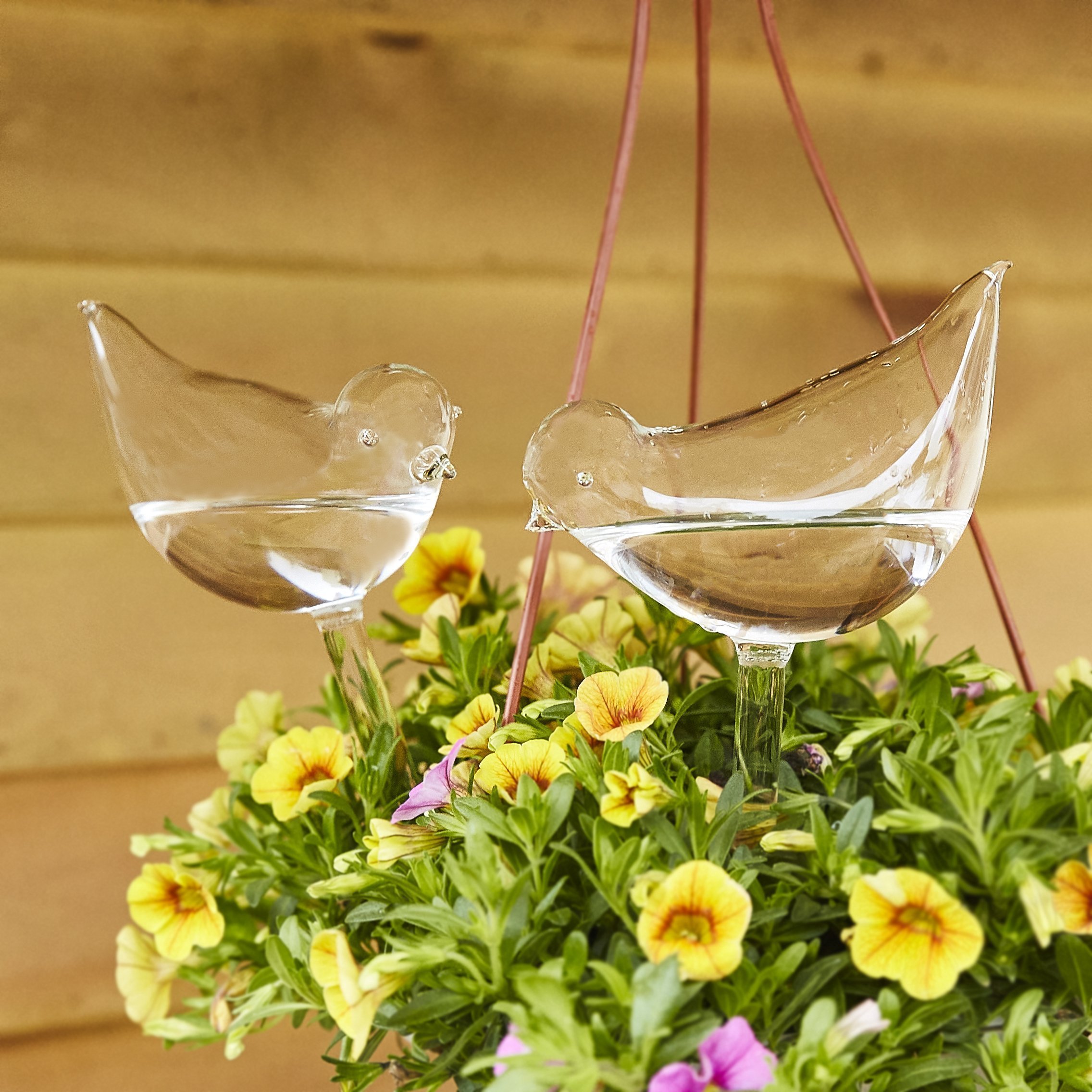 (Last Day Flash Sale-50% OFF)Self-Watering Plant Glass Bulbs