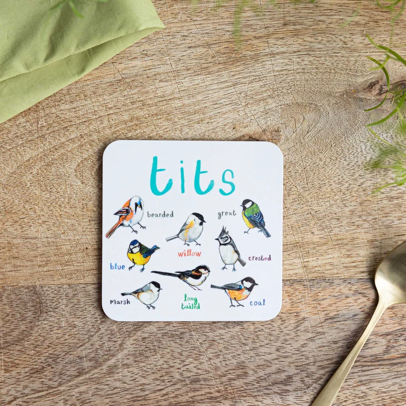 🐦Set Of 6 Bird Pun Coasters