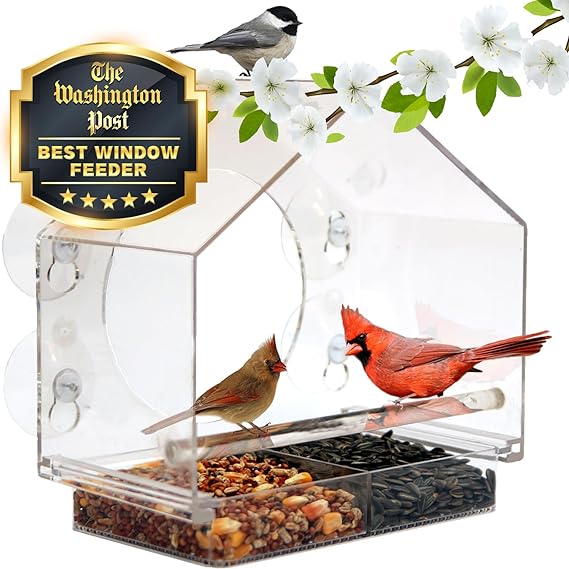 🔥Last Day Promotion 50% OFF🔥 - 🐦 Window Bird Feeders