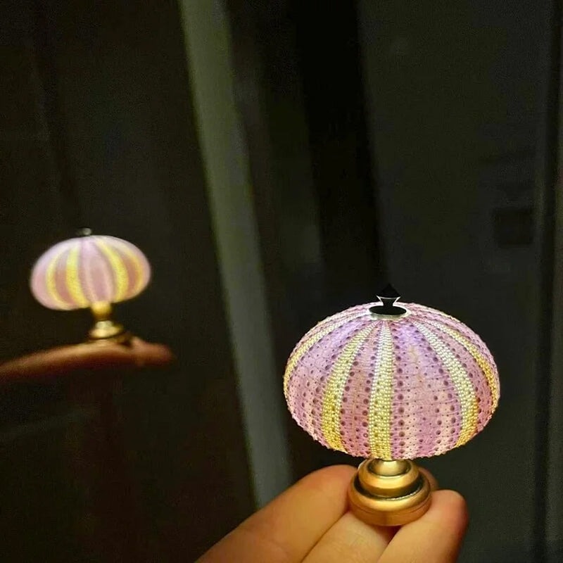 🔥HOT SALE🔥DIY Sea Urchin Night Light💓