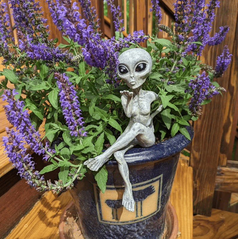 🤣2025 Ingredientp®Funny Alien Artwork