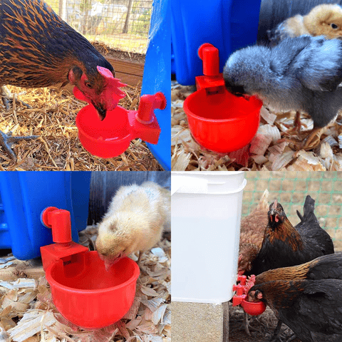(⚡Flash Sale Today - 50% OFF) 6PCS/SET Automatic Poultry Drinking Bowl