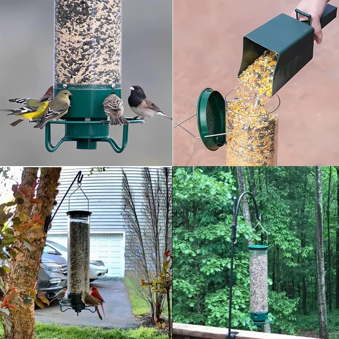 (🔥Last Day Promotion 50% OFF🔥)Squirrel-Proof Bird Feeder(Buy 2 Get Extra 10% OFF Now)