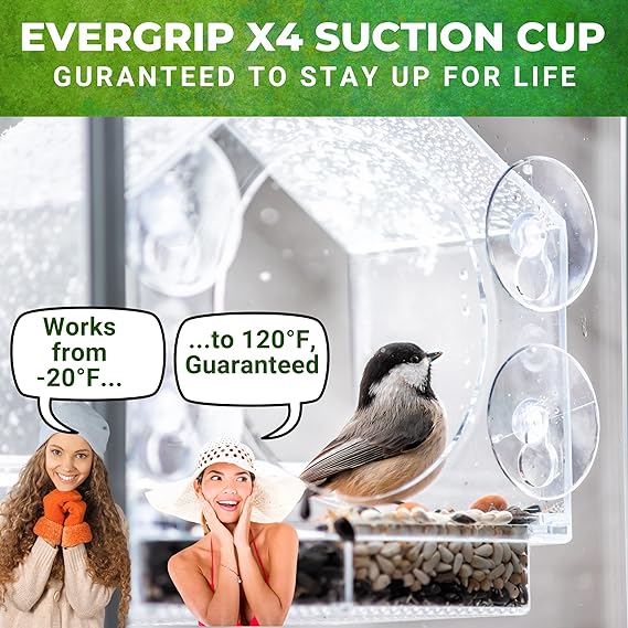 🔥Last Day Promotion 50% OFF🔥 - 🐦 Window Bird Feeders