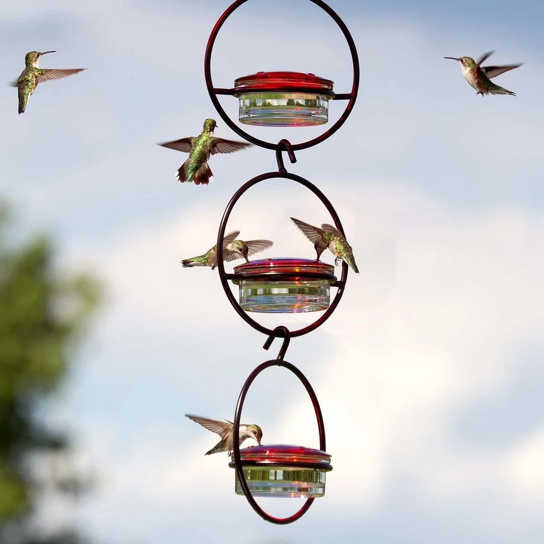 🔥Last Day Promotion 50% OFF🔥 - Hummble Slim Hummingbird Feeder