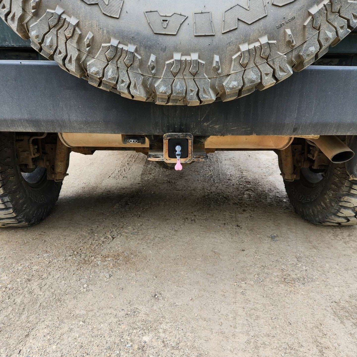 3D Funny Trailer Hitch Cover